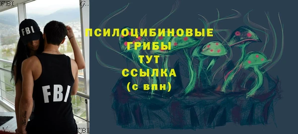 ALPHA PVP Заводоуковск