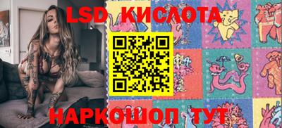 apvp Краснодар