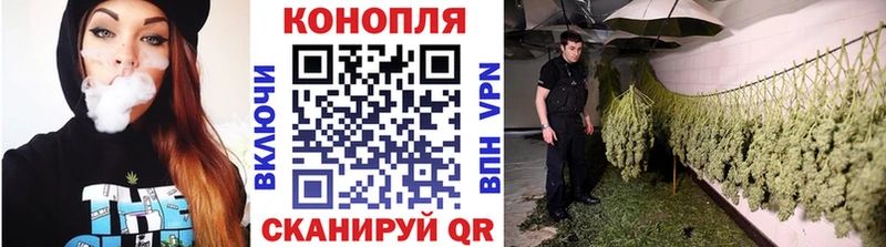 купить закладку  Ипатово  Канабис план 